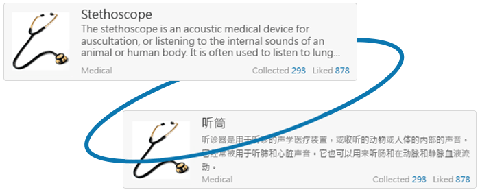 create-translate-terms Create and Translate Terms