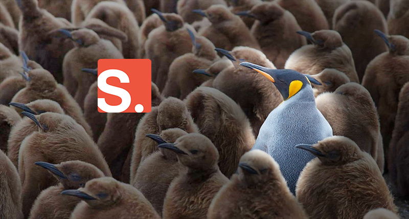 penguin